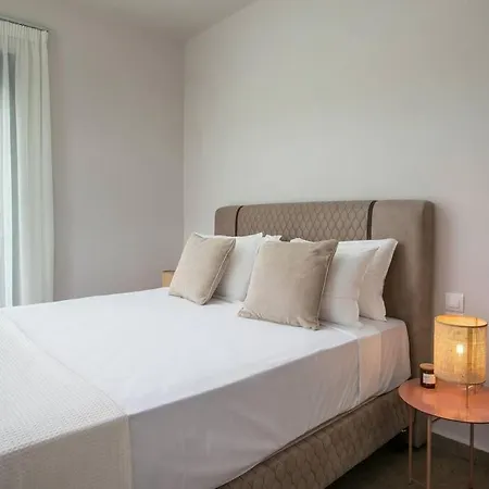 Aurora * 팔리라키