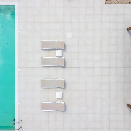 Aurora * 팔리라키